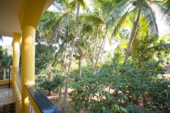 Monkey Rooms View From Common Space Agonda Beach Goa. 