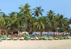 Art Resort Palolem View Of The Property Palolem Beach Goa - 