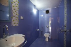 Dunhill Resort Agonda Beach AC Garden View Room Bathroom 