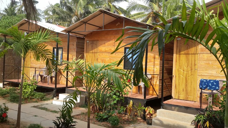 The Spring Beach Cottages Top Resort In Calangute Beach Goa India
