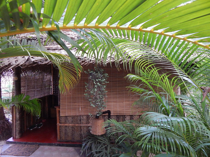 Palm Tree Goa Resort Top Resort in Patnem Beach, South Goa