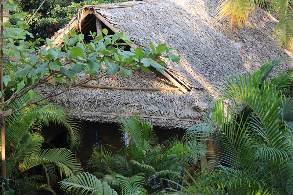 Palm Tree Goa Resort Top Resort in Patnem Beach, South Goa